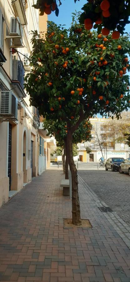 Golondrina Apartman Córdoba Kültér fotó
